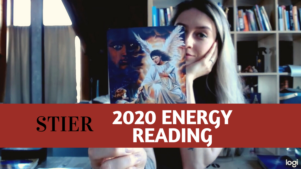 STIER - ''Ik draag de sleutel tot deze oplossing- 2020 Reading