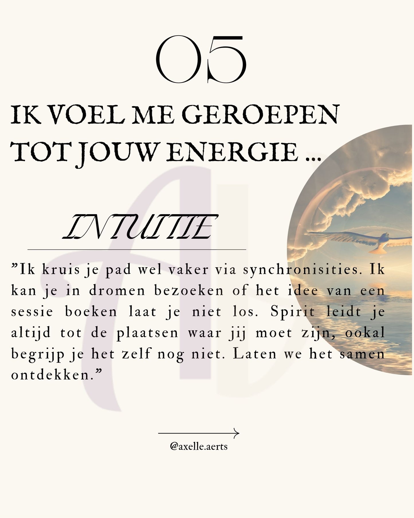 Light Coaching